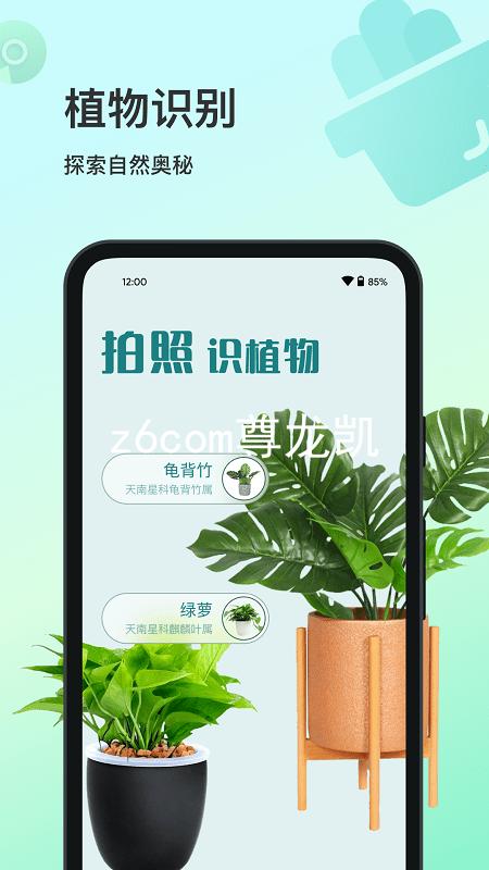 z6com尊龙凯