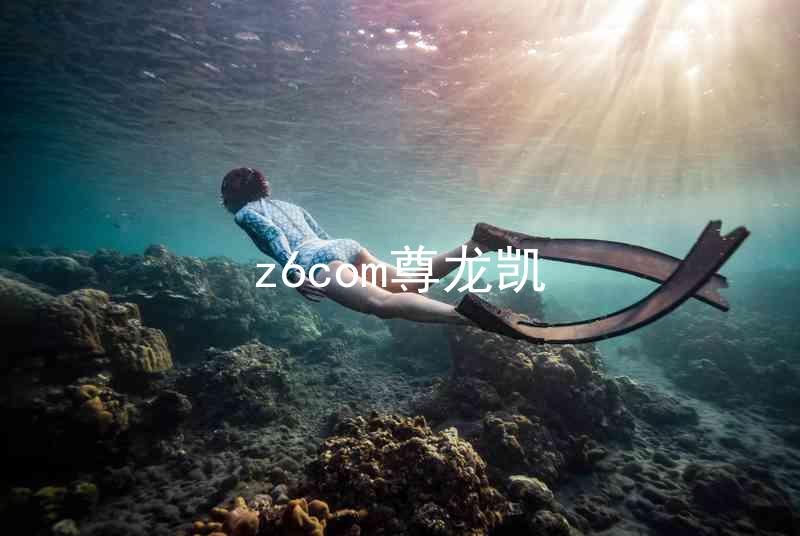 z6com尊龙凯