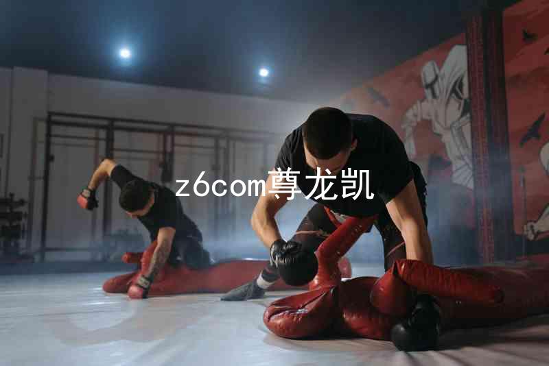 z6com尊龙凯